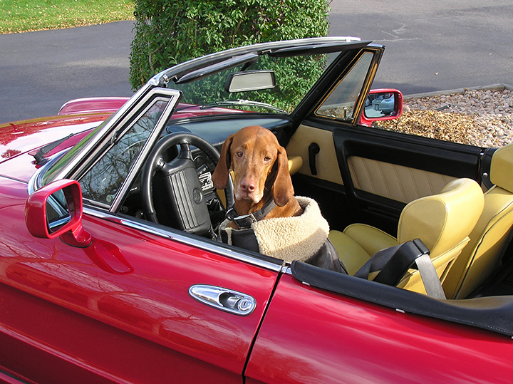 Alfa Romeo Spider Duetto 1966 94